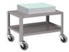 COMPUTER ENCLOSURE CABINET AND LOW PROFILE CARTS