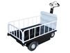 TRACTION-DRIVE CARTS